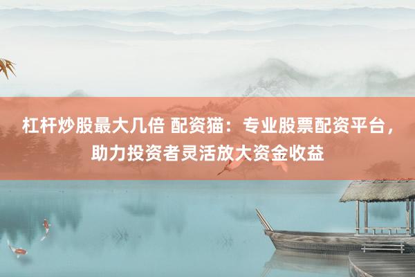 杠杆炒股最大几倍 配资猫：专业股票配资平台，助力投资者灵活放大资金收益