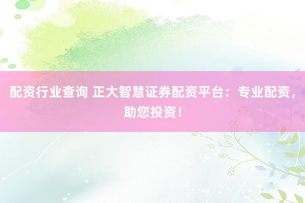 配资行业查询 正大智慧证券配资平台：专业配资，助您投资！