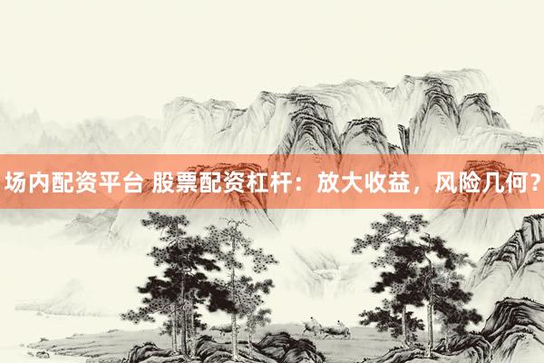 场内配资平台 股票配资杠杆：放大收益，风险几何？
