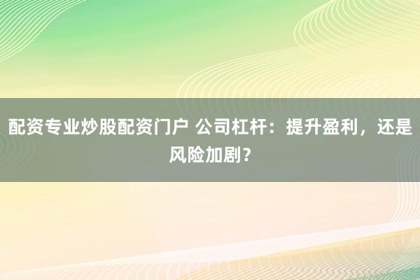 配资专业炒股配资门户 公司杠杆：提升盈利，还是风险加剧？