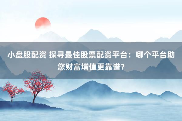 小盘股配资 探寻最佳股票配资平台：哪个平台助您财富增值更靠谱？