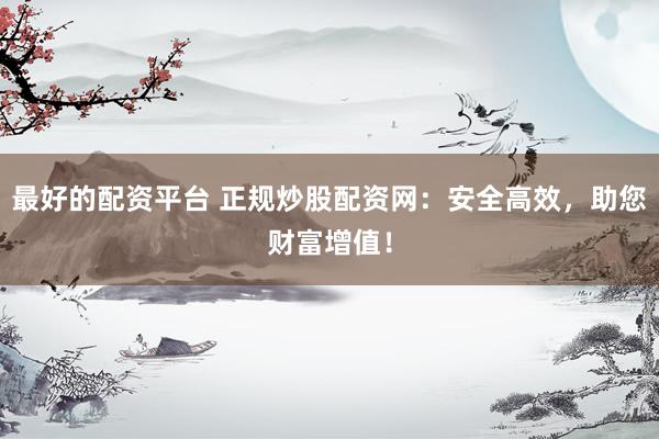 最好的配资平台 正规炒股配资网：安全高效，助您财富增值！