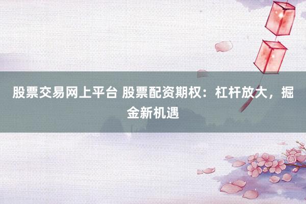 股票交易网上平台 股票配资期权：杠杆放大，掘金新机遇