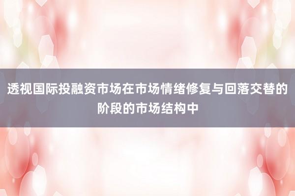 透视国际投融资市场在市场情绪修复与回落交替的阶段的市场结构中