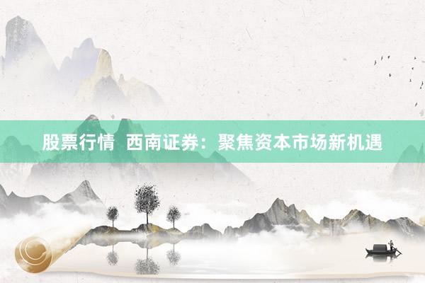 股票行情  西南证券：聚焦资本市场新机遇